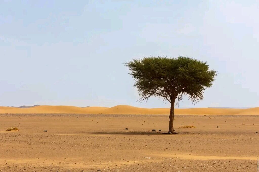 3 days desert tour from marrakech