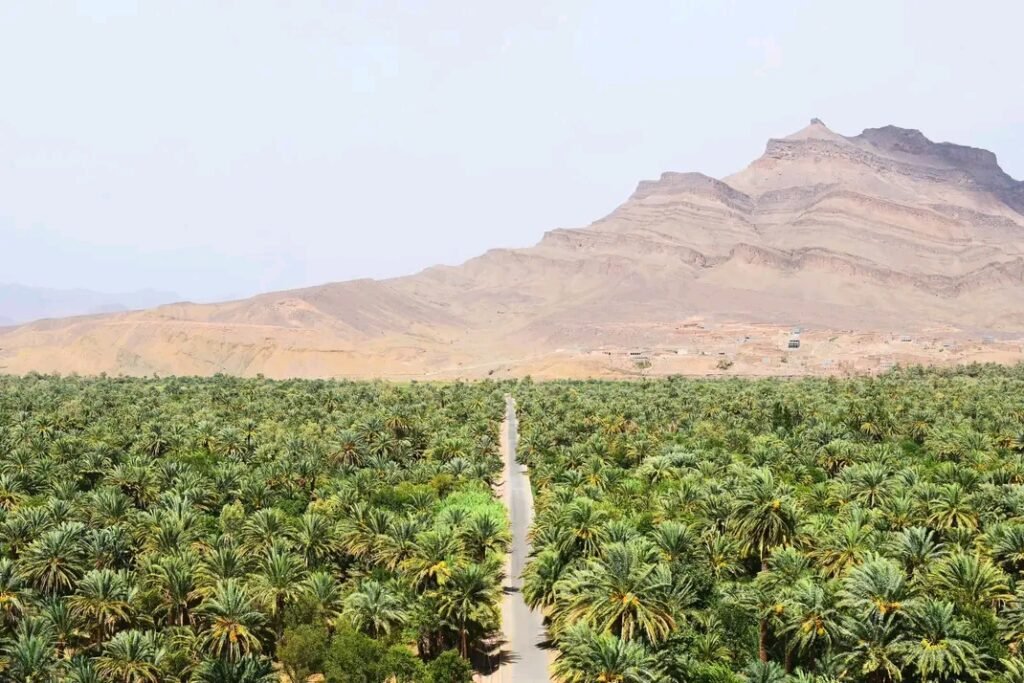private marrakech 5 days desert tour