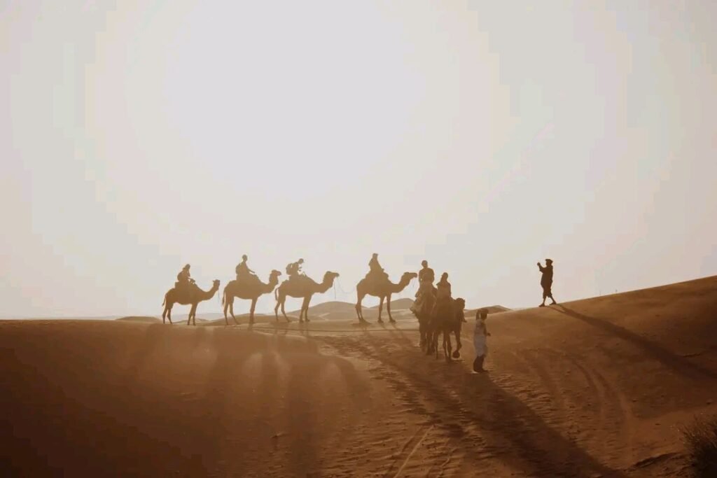 marrakech desert tours